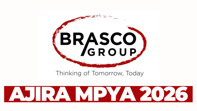 Debtors Administrator Job at Brasco