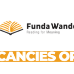 Finance Manager Jobs at Funda Wande