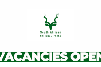 General Worker at Addo Elephant National Park