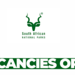 Human Capital Management Officer – Learning and Development (Fixed-Term Contract of 24 months)