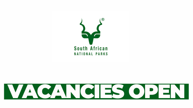 Human Capital Management Officer – Learning and Development (Fixed-Term Contract of 24 months)