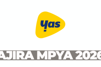 Internal Auditor Vacancy at Yas Tanzania – (March 2026)