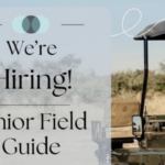 Junior Field Guide Opportunity at Kendrick Recruitment – 2026