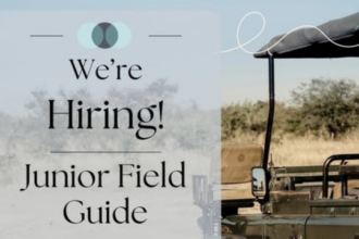 Junior Field Guide Opportunity at Kendrick Recruitment – 2026