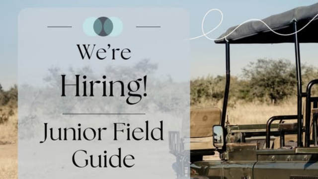 Junior Field Guide Opportunity at Kendrick Recruitment – 2026